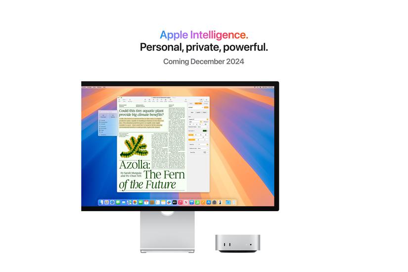 Apple Mac Mini Ssd 512 0195949942846