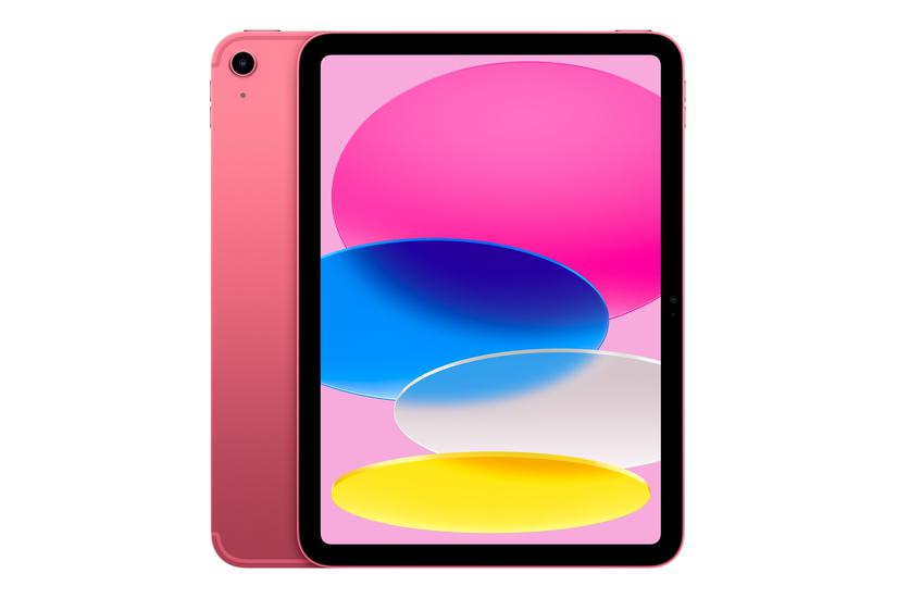 Apple Ipad A16  Cellular Tablet 128 195950104585